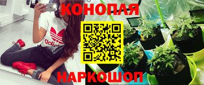 винт Кинель