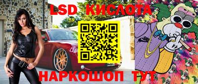 герыч Кингисепп