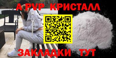 герыч Кингисепп